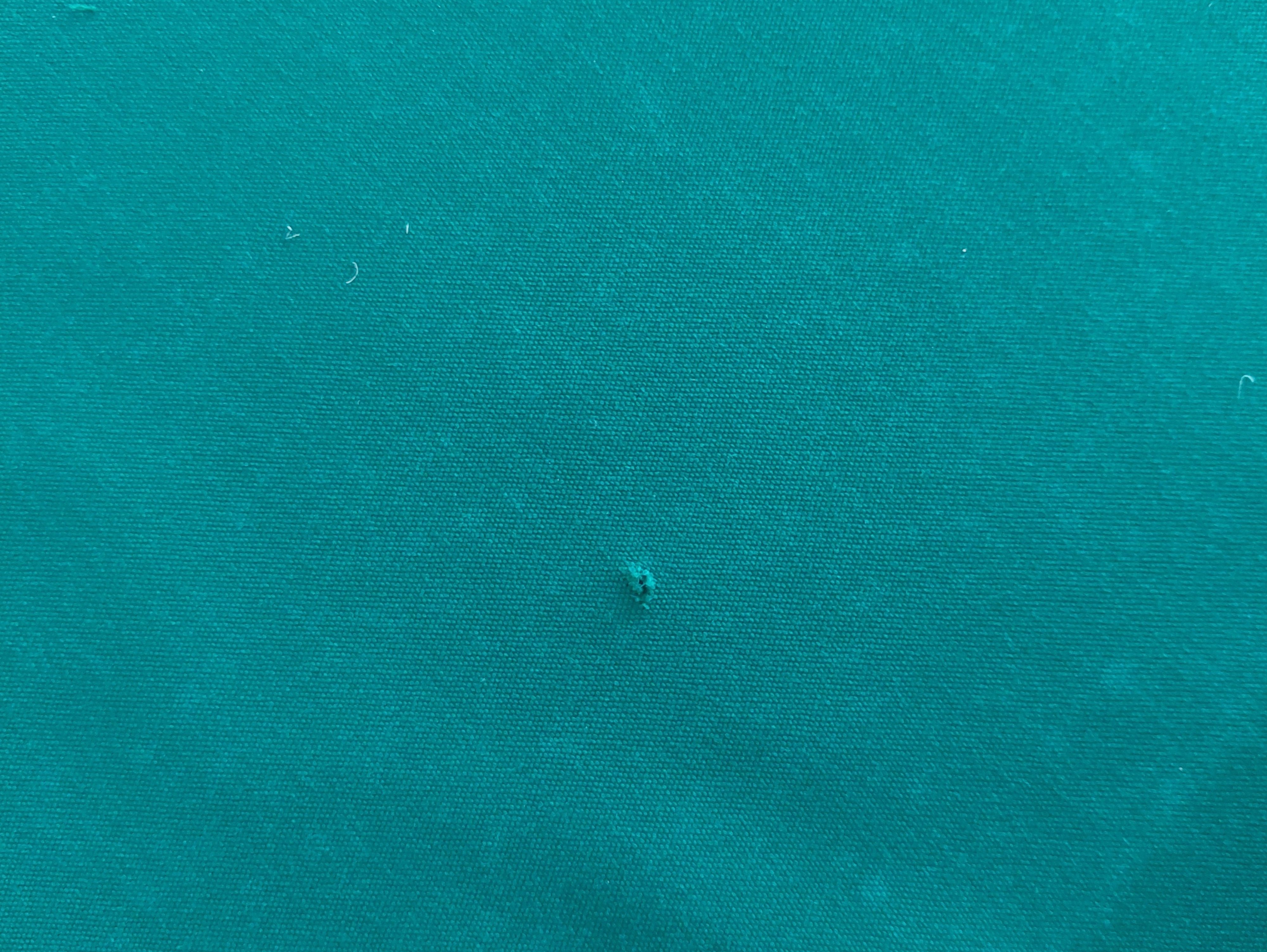 CO1520: Occasion Wilhelmina Nationaal 115x230 #3